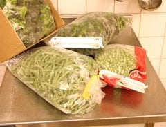 Plastik Klips Çubuk (Kapama Uzunluğu 22 cm) - PA220