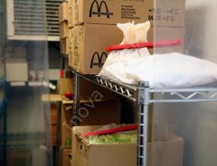 Plastik Klips Çubuk (Kapama Uzunluğu 22 cm) - PA220