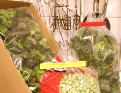 Plastik Klips Çubuk (Kapama Uzunluğu 12cm) - PP120